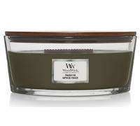 Woodwick Candela Ellipse - Fraser Fir