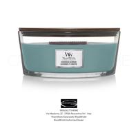 Woodwick - Candela Ellittica Ellipse - Evergreen Cashmere - Rivenditore