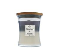 WoodWick Trilogy Amethyst Sky candela profumata con stoppino in legno