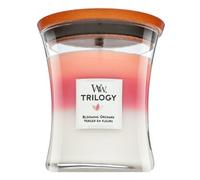 Woodwick Trilogy Blooming Orchard 275 g