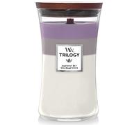 Amethyst Sky Candele In Vetro Grande 610 gr Woodwick