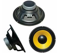 WOOFER PROFESSIONALE 6,5" 165 MM 16 17 CM 100W 4 OHM ALTOPARLANTE CONO AUTO