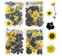 Woohome 120 Pz Naturali Pressati Fiori Pressati Secchi, Giallo e Nero Foglie Pressate Secche Naturali per Resina, Fiori Secchi Veri Pressati Fiori per Scrapbooking, Gioielli in Resina Epossidica