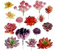 Woohome 15 Pz Misti Artificiali Piante Succulente, Succulente Artificiali Piante Grasse Finte Decorative per La Decorazione del Paesaggio Decorazioni, Casa Giardino Decorazioni