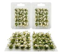 Woohome 40 Pz Mini Grappoli di Fiori, Paesaggi Ciuffi D'Erba Modello Erba Statica Ciuffo Erba Ferroviaria Artificiale Erba Modellismo Cespugli Di Fiori Per La Decorazion Del Giardino (Bianco)