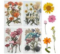 Woohome 60 Pezzi Fiori Secchi per Resina, Naturali Pressati Fiori Pressati Secchi, Fiori Secchi Veri Pressati Fiori per Scrapbooking Artigianato Artistico Fai da Te, Gioielli in Resina Epossidica