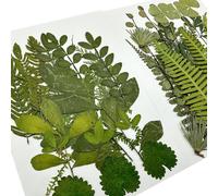 Woohome 69 Pz Naturali Pressati Fiori Pressati Secchi, Foglie Pressate Secche Naturali per Resina, Fiori Secchi Veri Pressati Fiori per Scrapbooking, Gioielli in Resina Epossidica