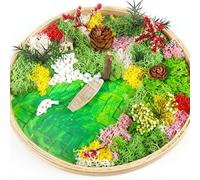 Woohome Mini Zen Garden Kit, Micro Paesaggio Fai Da Te con Cornice Rotonda in Bambù, Muschio, Kit da Giardino per La Decorazione Della Casa, Decorazione di Cornici per Foto, Cortile