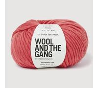 Wool and the Gang, Lil' Crazy Sexy - Lana spessa, 100 g, colore: rosa lampone