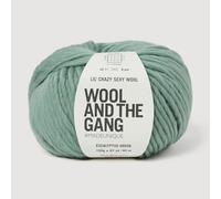 Wool and the Gang Lil' Crazy Sexy lana, verde eucalipto, 100 g, grosso