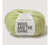 Wool and the Gang Lil' Crazy Sexy lana, verde mela, 100 g, grosso