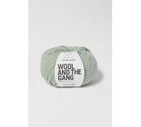 Wool and the Gang The One Merino, Euclayptus Green, 50 g, Aran/Worsted