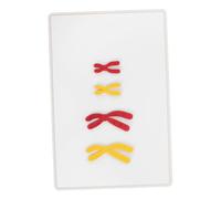 WOONEKY 1 Set Didattico Cambiamento Dei per Scuole Strumento Magnetico per Insegnamento Aiuto Visivo per Esperienze Apprendimento Pratico