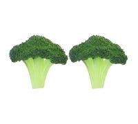 WOONEKY 2 Applicatori Per Il Trucco Cuscino Per Lentiggini Accessori Per Festival Timbro Per Lentiggini Anti-Sbavature Pennelli Per Il Contorno Per Il Trucco Kit Per La Creazione Di