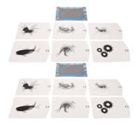 WOONEKY 2 Set Kit Didattico di Scienze per Animazione Lenticolare Esperimenti di Ottica e Illusioni Visive Gioco Educativo per Apprendimento Precoce e Lavoretti Creativi DIY