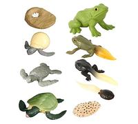 WOONEKY delle Tartarughe e Tartarughe Set 2 Giocattoli Educativi per Bambini Decorazioni Didattiche e Fotografiche per Spiegare l'Evoluzione Animali