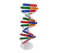 WOONEKY Dna Doppia Kit Educativo Montaggio Autonomo Strumento Didattico Molecolare per Apprendimento Scientifico e Biologia Colore Casuale