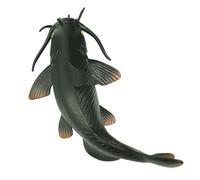 WOONEKY Pesce Gatto in Plastica Realistico per Giocattolo Educativo di Animale Acquatico Sicuro e Durevole Stimola Immaginazione e Apprendimento Decorazione Didattica per Ragazzi e