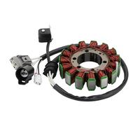 WOOSTAR 15 Bobina 5 Fili Magneto Statore Sostituzione per 2012-2013 KRT750 Teryx4 750 4X4 2012-2013 KRT750 Teryx4 750 4X4 EPS 2012-2013 KRT750 Teryx4 750 4X4 EPS APG HD 2014-2023 KRF800 Teryx