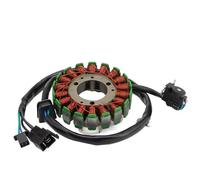 WOOSTAR 18 Bobina 5 Fili Magneto Statore Sostituzione per GZ150 Moto