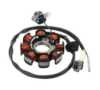 WOOSTAR 8 Bobina 3 Fili Magneto Statore Sostituzione per Kymco Vitality 50 People S Ti11 Dink Agility Deliver Carry VP50 OEM 31120-LBD6-EOA 31120-LBD6-EOB 31120-LBD6-E0C 31120-LDC8-E10 31120-LEJ2-E104