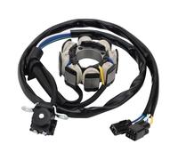 WOOSTAR 8 Bobina 6 Fili Magneto Statore Sostituzione per 2004-2009 2012-2013 2015-2017 CRF250 CRF250X OEM 31100-KSC-671 31100-KSC-A11