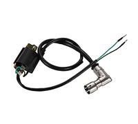 WOOSTAR Bobina di Accensione con Scudo Sostituzione per XR50 CRF50 Cloni 50cc 70cc 90cc 110cc 125cc 4 Tempi ATV Dirt Pit Bike Go Kart Pocket Bike