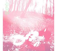 words from a wishing well