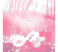 Words From A Wishing Well