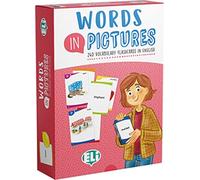 Words in Pictures: 240 illustrierte Lernkarten + Anleitung