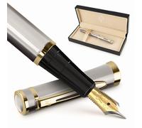 Wordsworth&Black Set Di Penne Stilografiche,Extra Fine Pennino,Include 6 Cartucce Di Inchiostro E Convertitore Di Ricarica Di Inchiostro[Argento Oro]