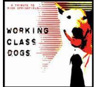 Working Class Dogs-A Rick Springfield Tribute - Working Class Dogs-A Rick Springfield Tribute