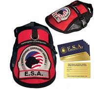 Working Service Dog brand - Premium Emotional Support Dog sec mesh Vest (XXS - XXL), 19" - 22" Girth (S), Sandali Adventure Seeker, punta chiusa - T - Bambini