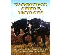 Working Shire Horses
