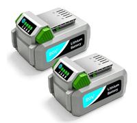WORKPRO - Batteria di ricambio da 5,0 Ah per batteria Litheli da 20 V, batteria compatibile con utensili elettrici Litheli serie E1, utensili elettrici senza fili WORKPRO New Series da 20 V, lunga