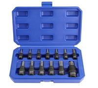 WORKPRO Set di 13 Pezzi di Chiavi a Bussola Torx, con Attacco da 1/4", 3/8" e 1/2", Bussola Esagonale T8-T60, Bussola a Pressione in Acciaio Legato Cr-V e S2, con Custodia per Riporre gli Attrezzi