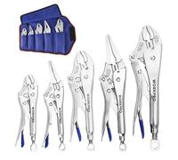 WORKPRO Set di 5 pinze di bloccaggio con borsa