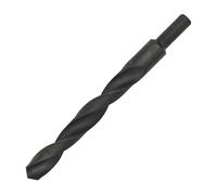Worksafe BSB19.5 Punta Da Fabbro - Ø19.5 X 205Mm