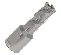 Worksafe RBHSS12S Rotabor Taglierino HSS Ø12mm - Taglio Spessore 25mm