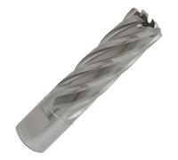 Worksafe RBHSS19L Rotabor Cutter HSS Ø19mm - Taglio Profondità 50mm