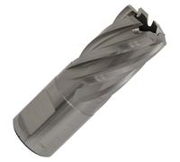 Worksafe RBHSS19S Rotabor Taglierino HSS Ø19mm - Taglio Spessore 25mm