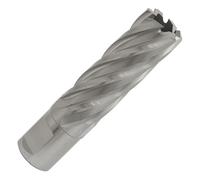 Worksafe RBHSS20L Rotabor Cutter HSS Ø20Mm - Profondità Di Taglio 50Mm