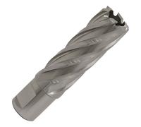 Worksafe RBHSS21L Rotabor Taglierino HSS Ø21mm - Taglio Spessore 50mm