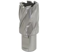 Worksafe RBHSS24S Cutter Rotabor HSS Ø24Mm - Profondità Di Taglio 25Mm