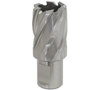 Worksafe RBHSS25S Rotabor Taglierino HSS Ø25mm - Taglio Spessore 25mm