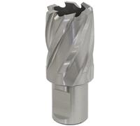 Worksafe RBHSS26S Rotabor Cutter HSS Ø26mm - Taglio Profondità 25mm