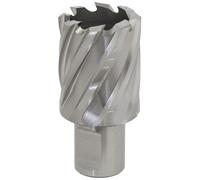 Worksafe RBHSS29S Rotabor Cutter HSS Ø29mm - Taglio Profondità 25mm