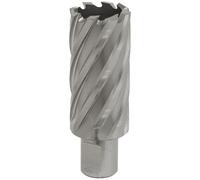 Worksafe RBHSS30L Rotabor Cutter HSS Ø30Mm - Profondità Di Taglio 50Mm