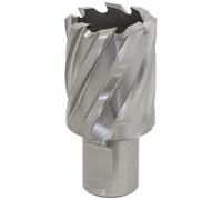 Worksafe RBHSS30S Cutter Rotabor HSS Ø30Mm - Profondità Di Taglio 25Mm