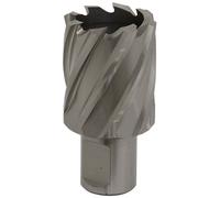 Worksafe RBHSS32S Rotabor Cutter HSS Ø32mm - Taglio Profondità 25mm